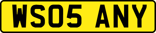 WS05ANY
