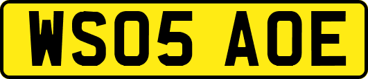 WS05AOE
