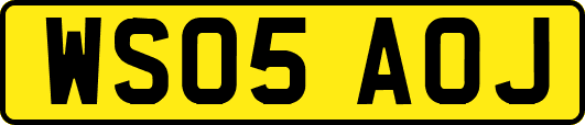 WS05AOJ