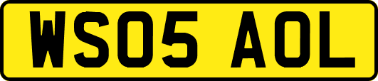 WS05AOL