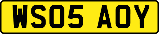WS05AOY