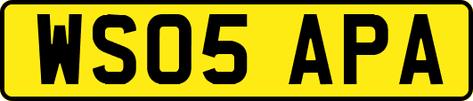 WS05APA