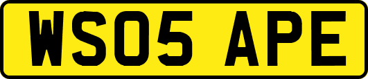 WS05APE