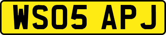 WS05APJ