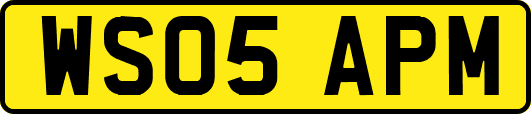 WS05APM