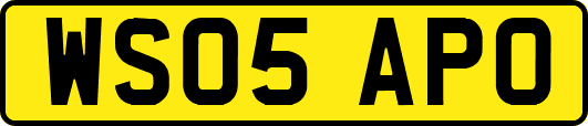 WS05APO