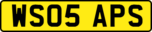 WS05APS