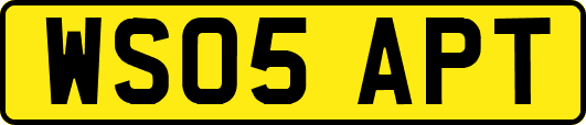 WS05APT