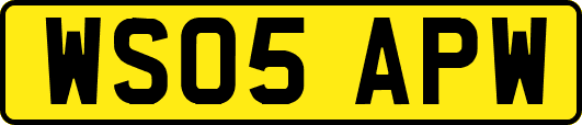 WS05APW