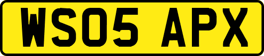 WS05APX