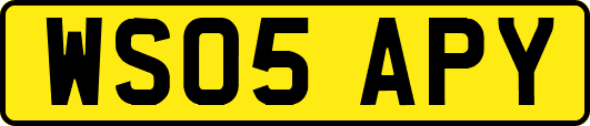 WS05APY