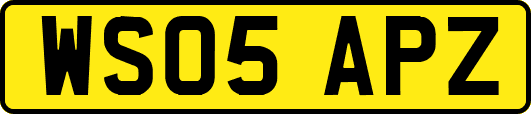 WS05APZ