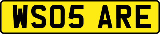WS05ARE