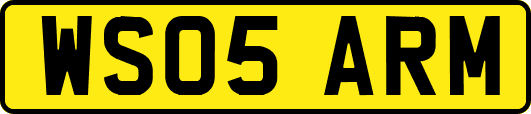 WS05ARM