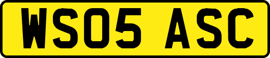WS05ASC