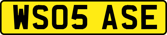 WS05ASE