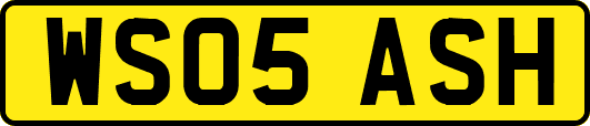 WS05ASH