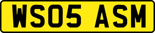 WS05ASM
