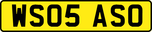 WS05ASO
