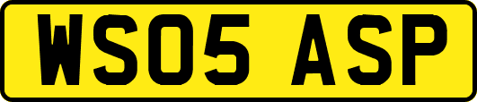 WS05ASP