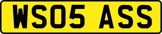 WS05ASS