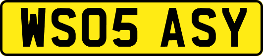 WS05ASY
