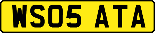 WS05ATA