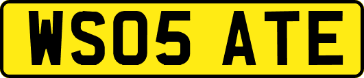 WS05ATE