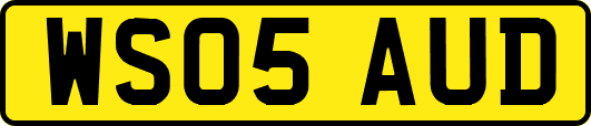 WS05AUD