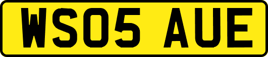 WS05AUE