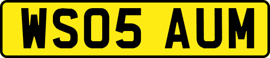 WS05AUM
