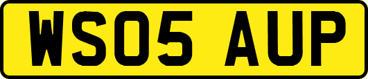 WS05AUP