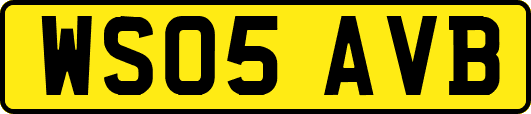 WS05AVB