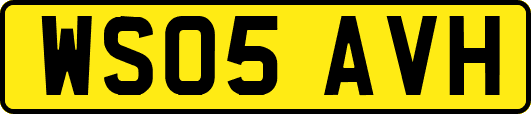 WS05AVH
