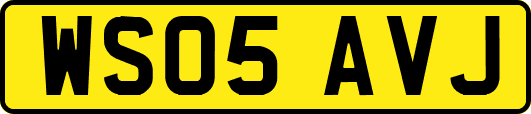WS05AVJ