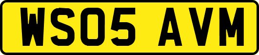 WS05AVM