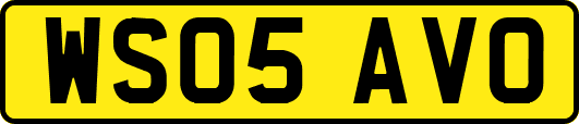 WS05AVO