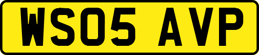 WS05AVP
