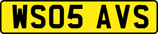 WS05AVS
