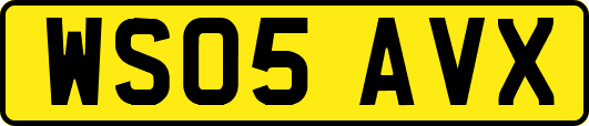 WS05AVX