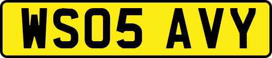 WS05AVY