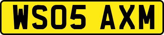 WS05AXM