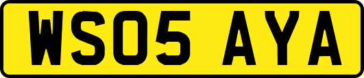 WS05AYA