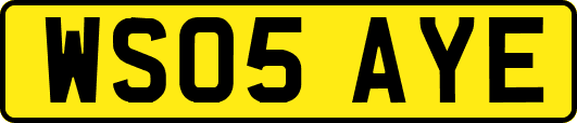 WS05AYE