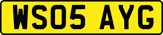 WS05AYG