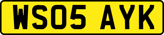 WS05AYK