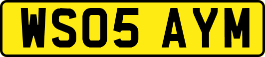 WS05AYM