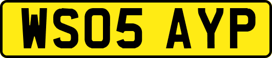 WS05AYP