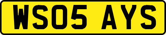 WS05AYS