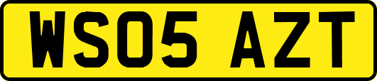 WS05AZT
